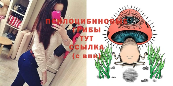 молекула духа Гусь-Хрустальный