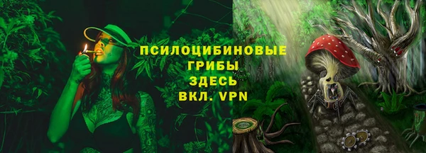 не бодяженный Гусиноозёрск