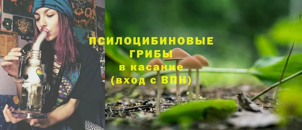 не бодяженный Гусиноозёрск