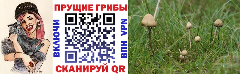 Галлюциногенные грибы мухоморы Петровск-Забайкальский