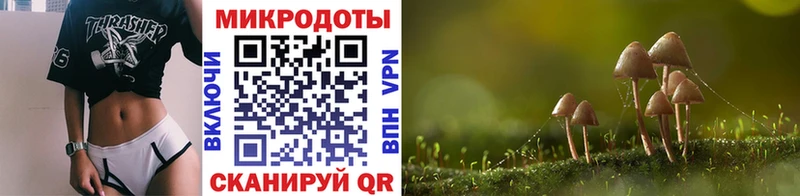 Галлюциногенные грибы MAGIC MUSHROOMS  Петровск-Забайкальский 